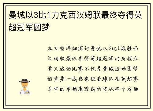 曼城以3比1力克西汉姆联最终夺得英超冠军圆梦